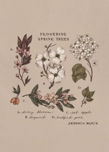 Flowering Spring Trees von Jessica Roux